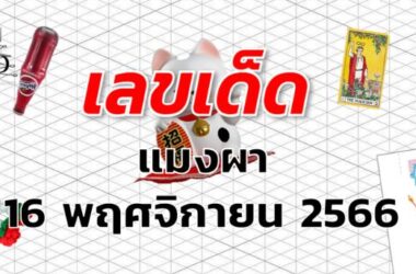 หวยแมงผา เลขเด็ด งวด 16 พฤศจิกายน 2566